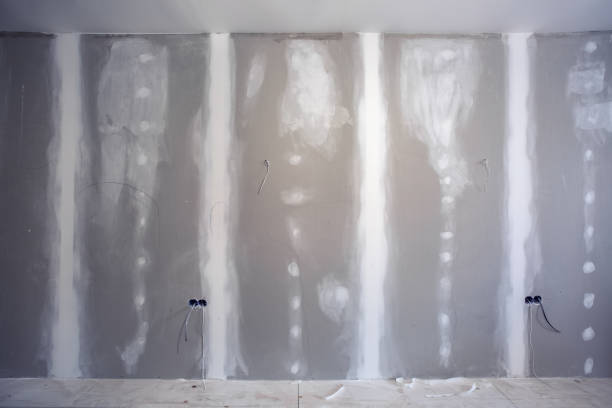 Best Drywall Sanding and Smoothing  in Adamsville, TN